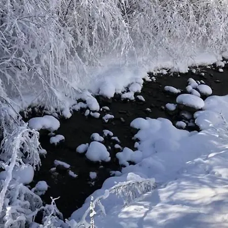 Haus Sahin Apartment Vandans