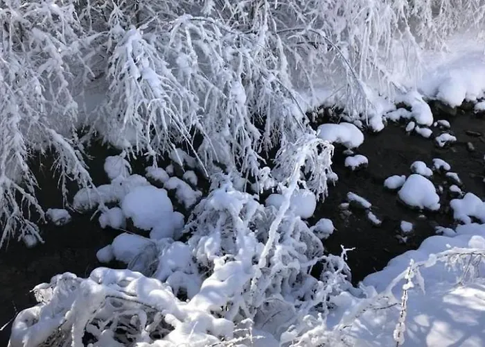 Апартаменты Haus Sahin *